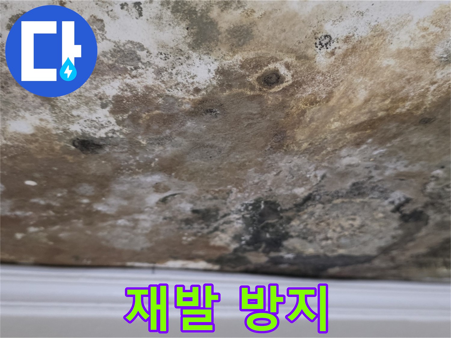 곰팡이 재발 방지 시공 - 곰팡이 제거 후 재발 방지를 위한 꼼꼼한 시공 모습입니다.