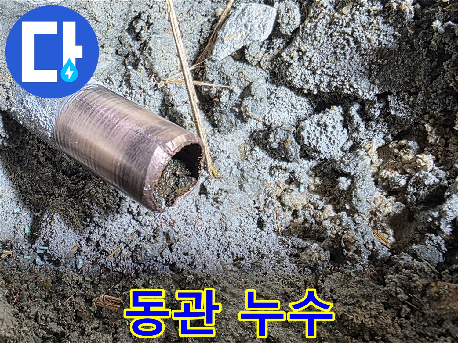 마포구 용강동 새창로8길 주택 - 낡고 부식된 배관의 처참한 단면을 보여주는 사진입니다.