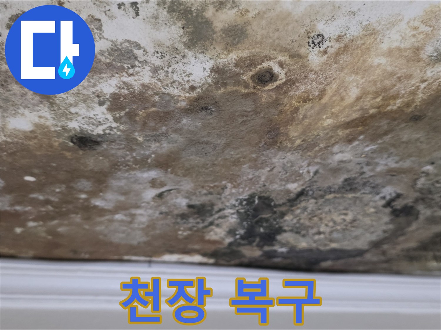 누수와 곰팡이 제거 후 복구된 천장 - 깨끗하게 복구된 천장의 모습입니다.