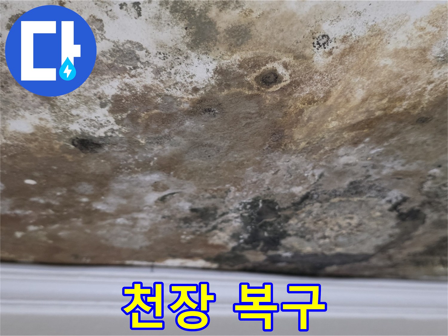 누수와 곰팡이 제거 후 복구된 천장 - 깨끗하게 복구된 천장의 모습입니다.