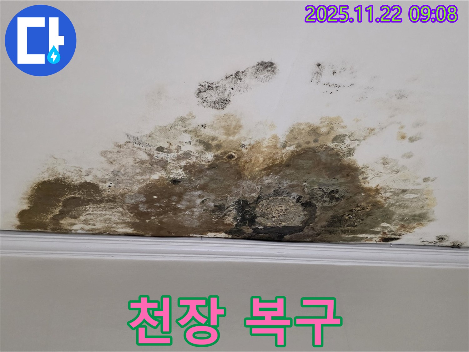 마포 용강동 누수탐지 - 곰팡이로 뒤덮인 천장, 완벽한 누수 해결과 복구로 새집처럼 변신!