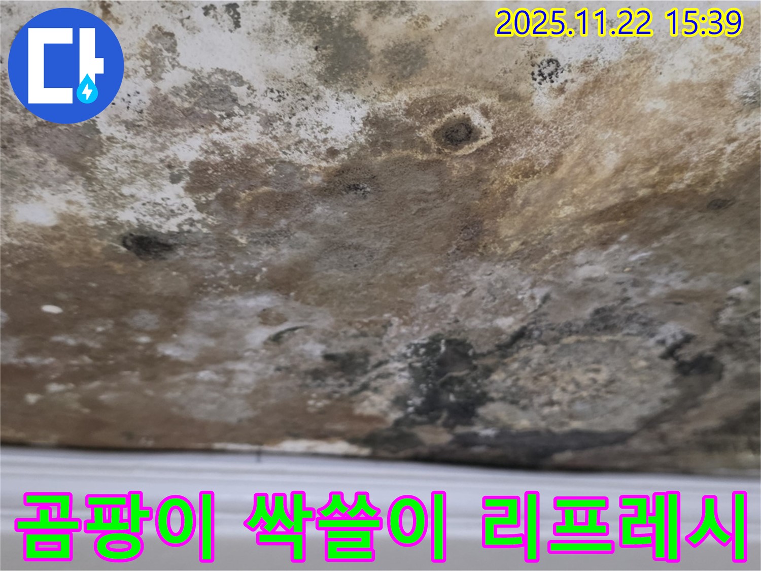마포구 새창로8길 - 곰팡이 싹쓸이, 쾌적한 공간으로 리프레시!