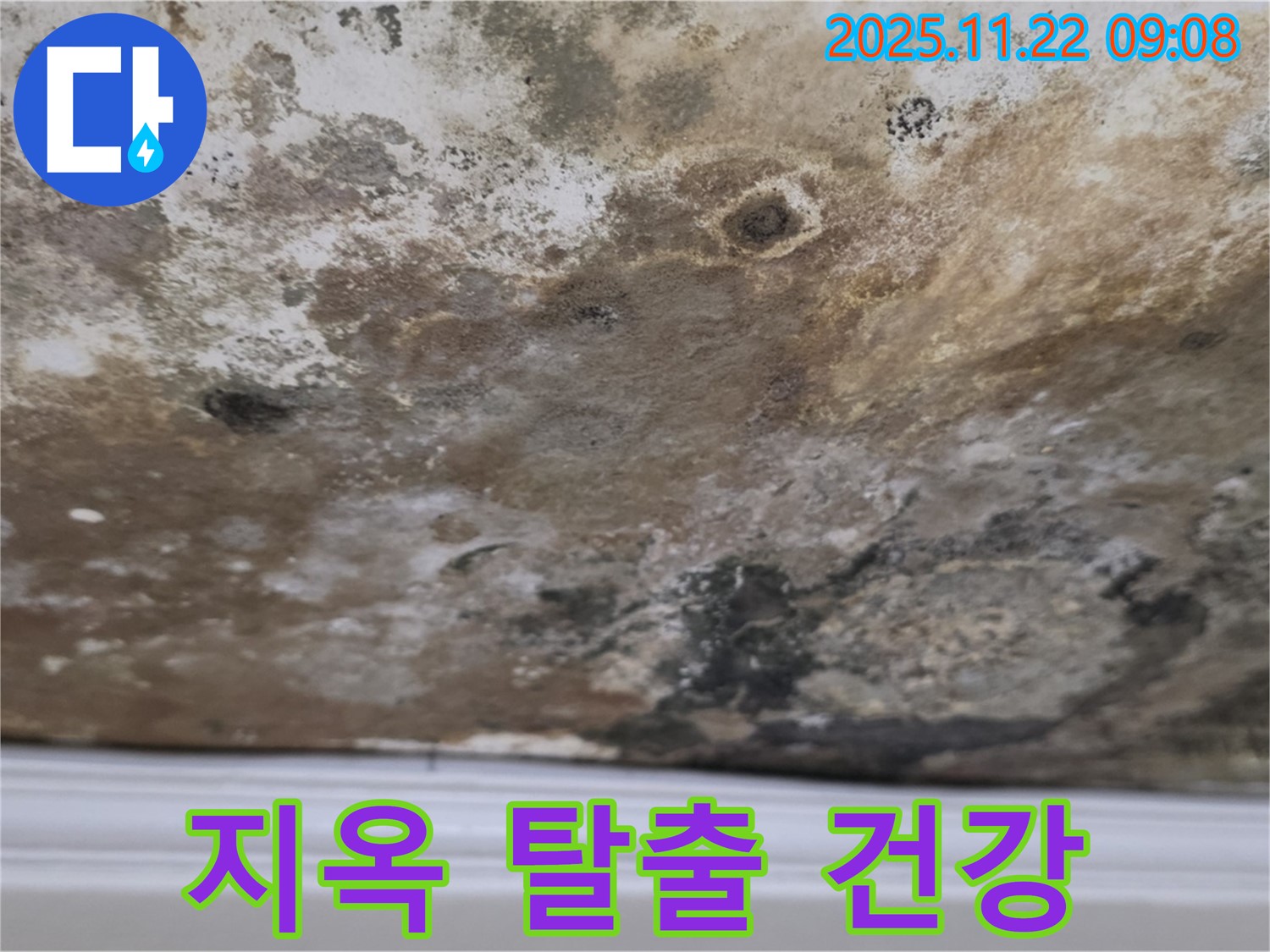 마포구 새창로8길 - 곰팡이 지옥 탈출, 쾌적하고 건강한 공간