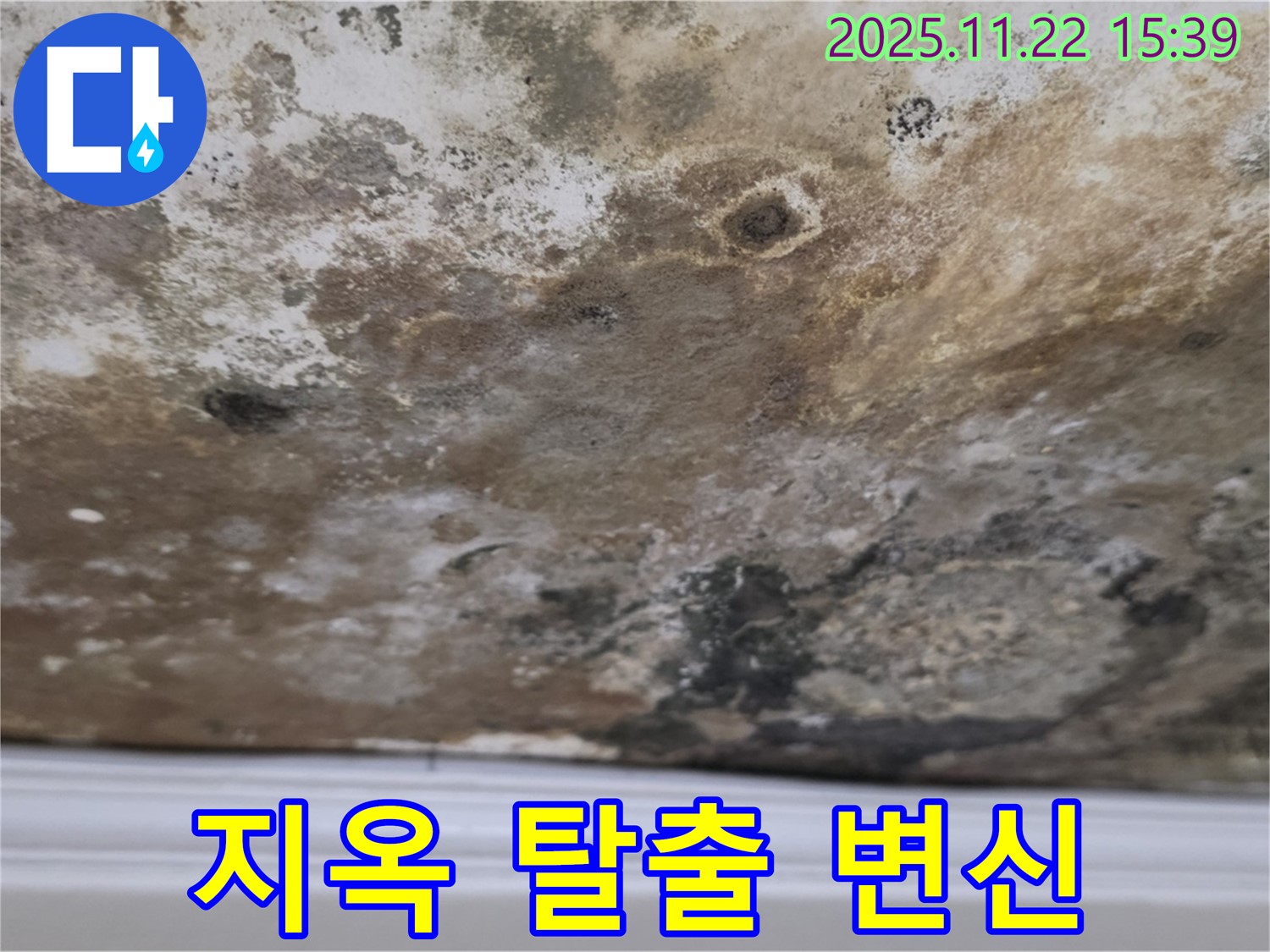 마포구 새창로8길 - 곰팡이 지옥 탈출, 쾌적하고 건강한 공간으로 변신!