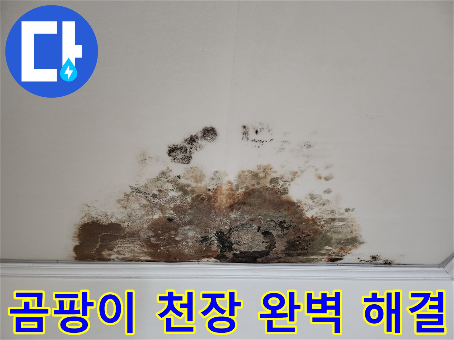 마포구 용강동 곰팡이 천장 완벽 해결 - 합리적인 가격으로 완벽 시공