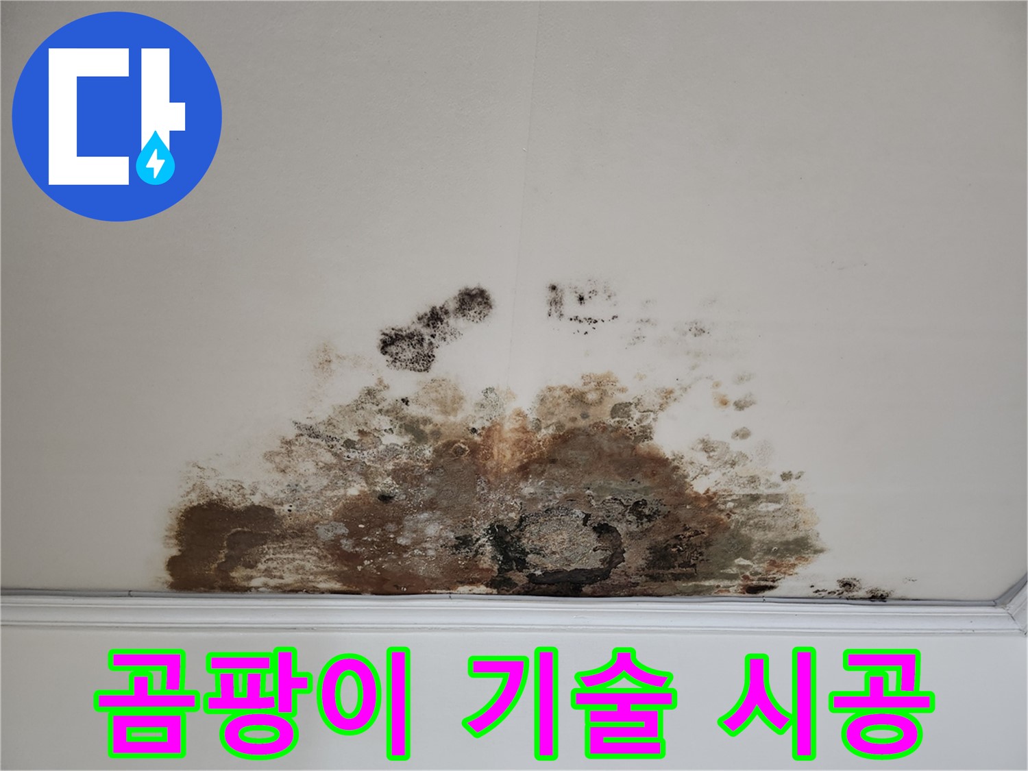 마포구 용강동 누수 - 곰팡이 천장 베테랑 기술 및 확실한 시공