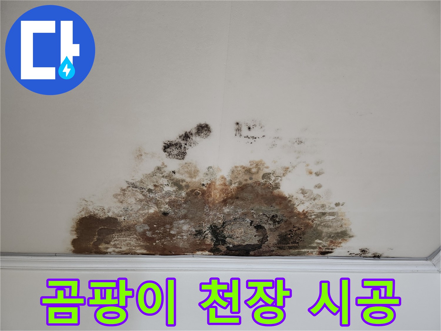마포구 용강동 누수, 곰팡이 천장 - 친절한 상담, 책임감 있는 시공