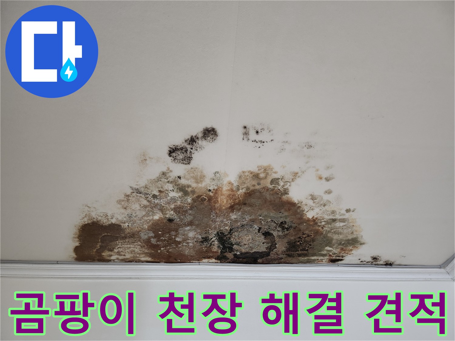 마포구 용강동 누수 곰팡이 천장 - 합리적 견적 완벽 해결 약속