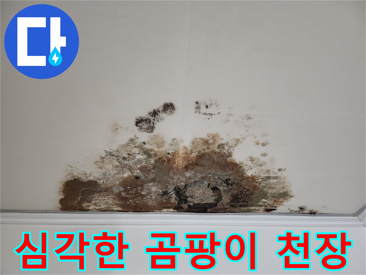 마포구 용강동 누수 - 곰팡이로 뒤덮인 천장의 원인을 찾고 완벽하게 해결