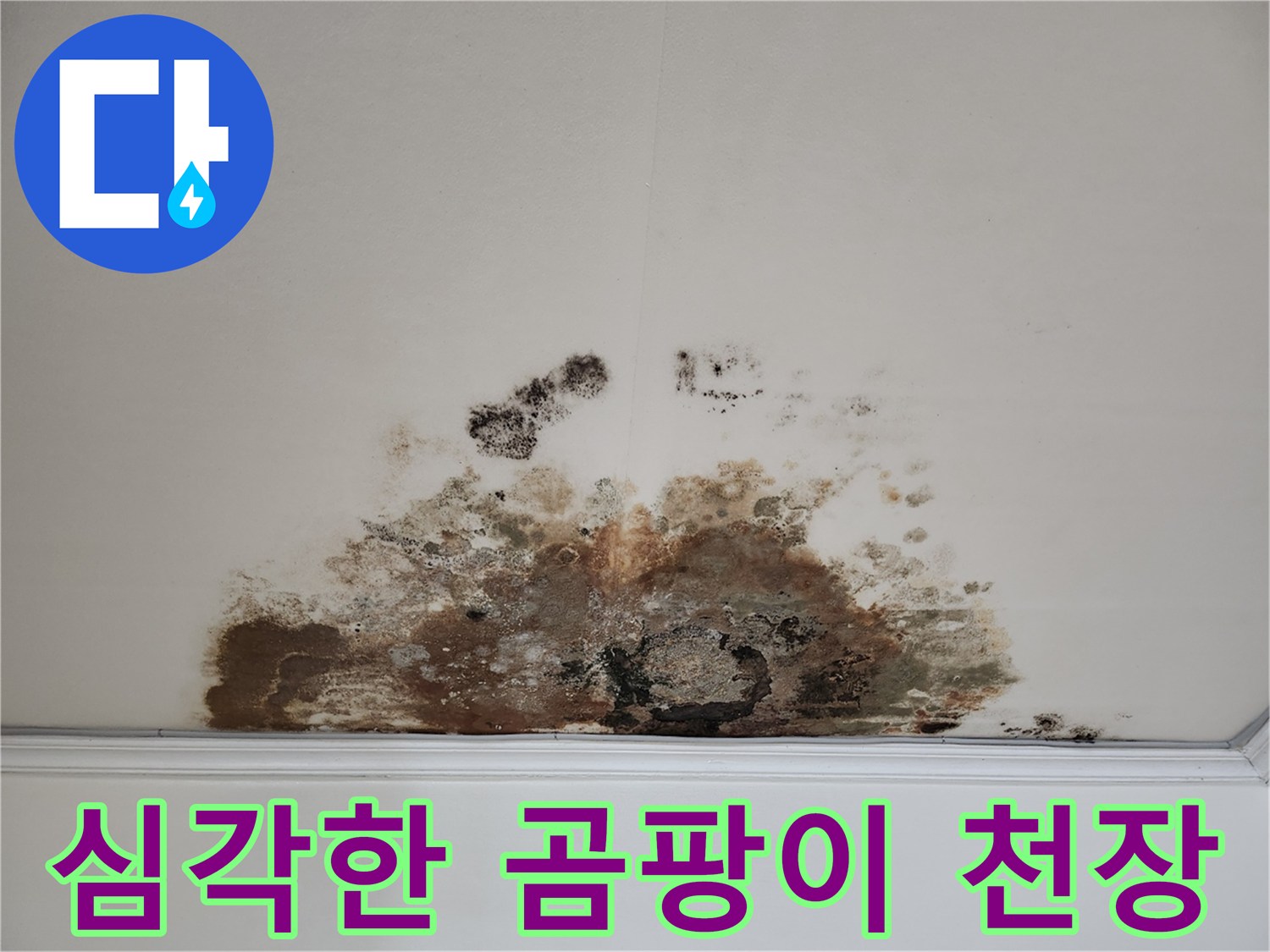 마포구 용강동 누수 - 곰팡이로 뒤덮인 천장의 원인을 찾고 완벽하게 해결