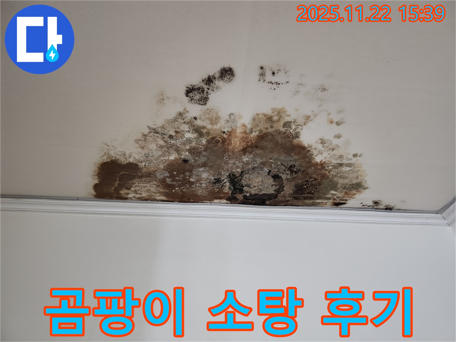 마포구 용강동 새창로8길 천장 누수 - 곰팡이 완전 소탕 리얼 후기
