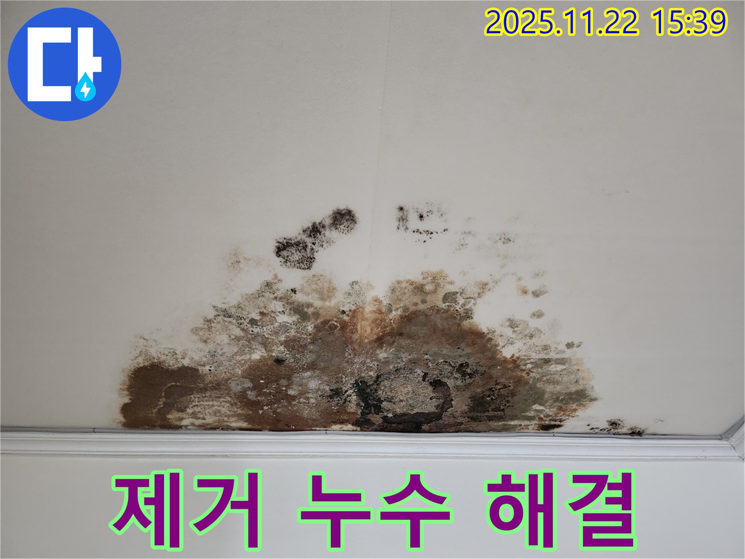 마포구 용강동 아파트 - 곰팡이 천장, 곰팡이 제거, 누수 문제 완벽 해결