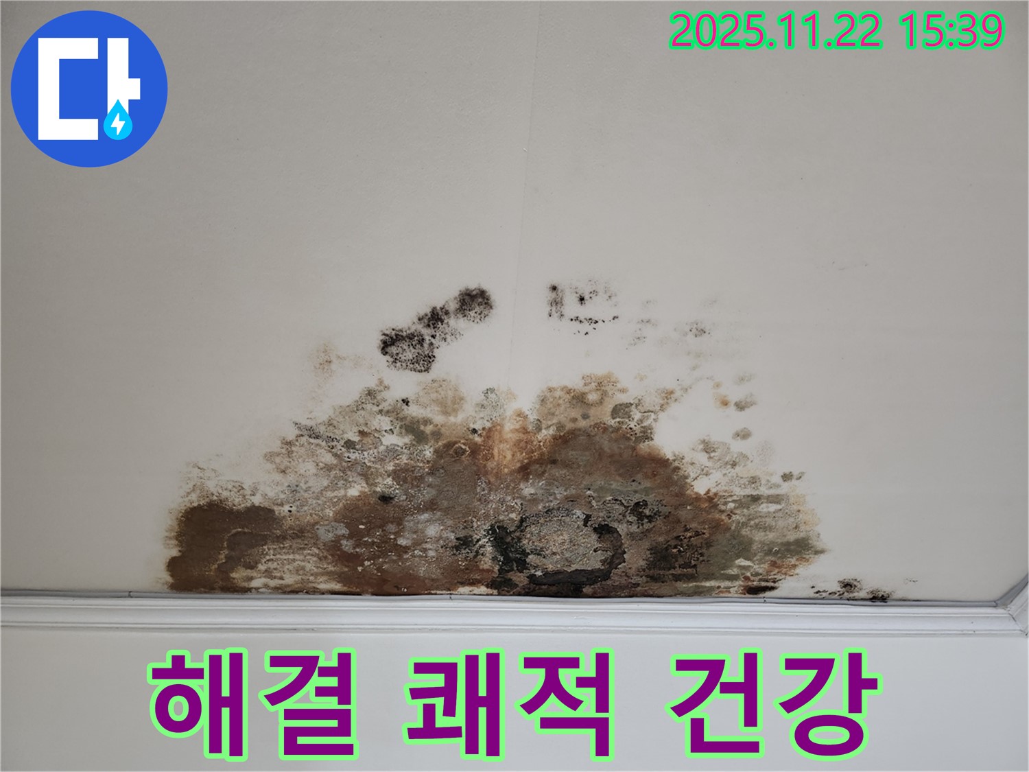 마포구 용강동 아파트 - 곰팡이 천장, 완벽 해결! 건강하고 쾌적한 공간으로!