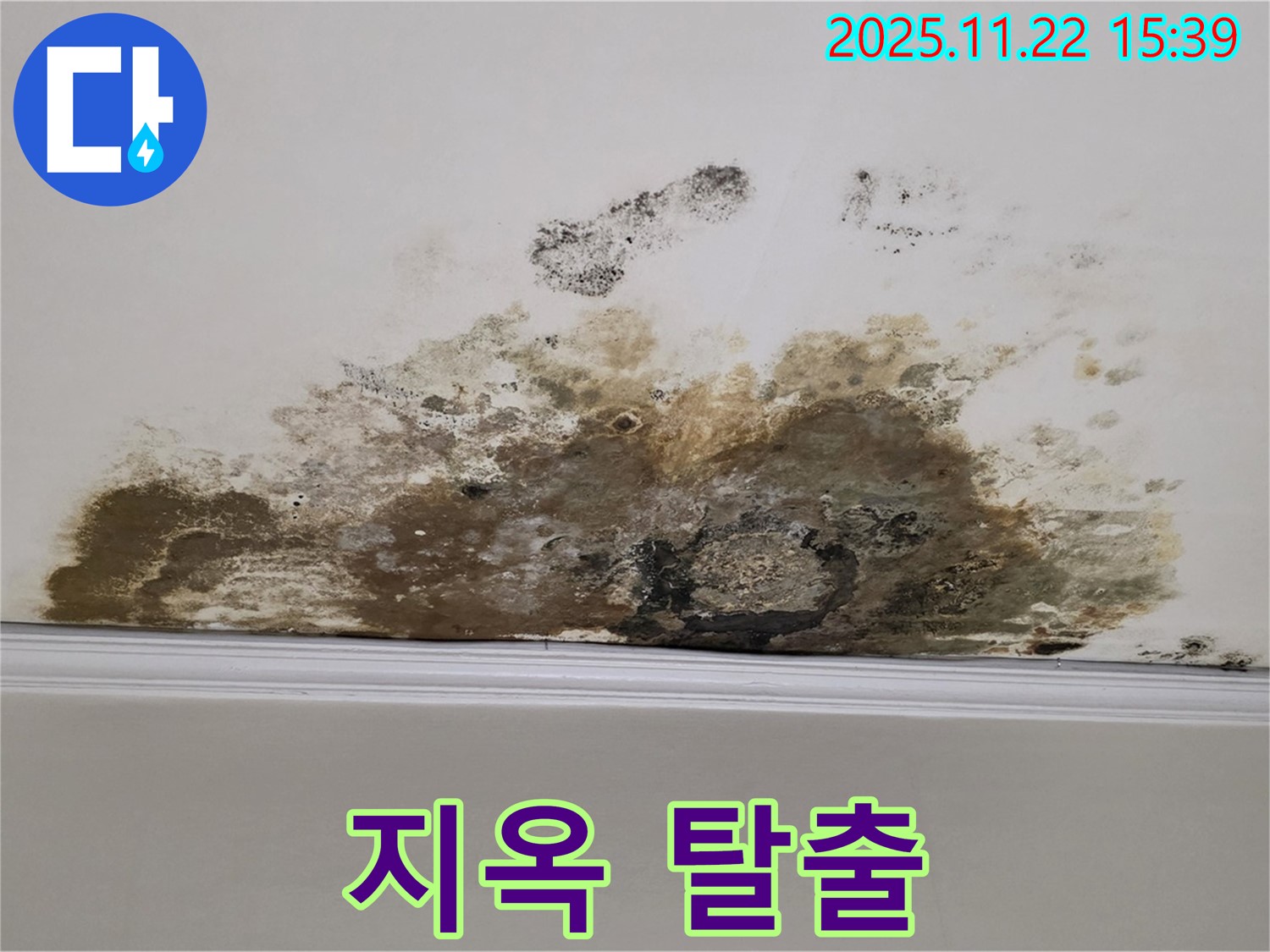 마포구 용강동 아파트 누수 - 곰팡이 지옥 탈출, 쾌적한 보금자리로 리모델링!