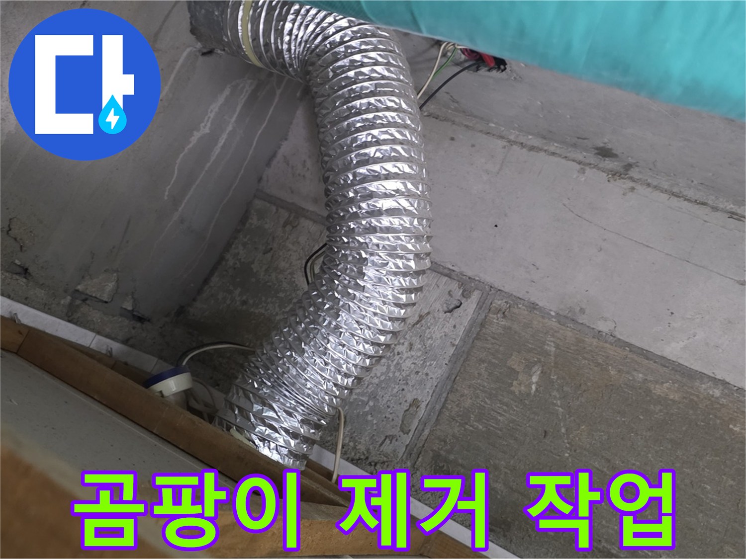 마포구 용강동 현대홈타운 누수 점검 - 욕실 환풍기 배관 주변 곰팡이 제거 작업 중