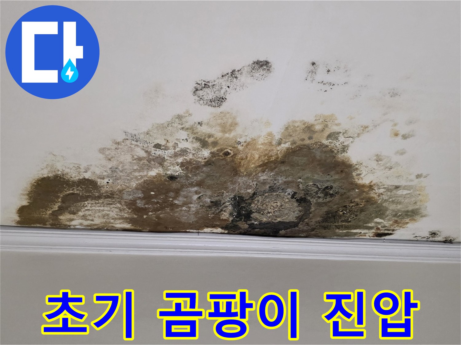 마포구 용강동 현대홈타운 아파트 - 초기 천장 곰팡이 발생 - 빠른 진압이 중요