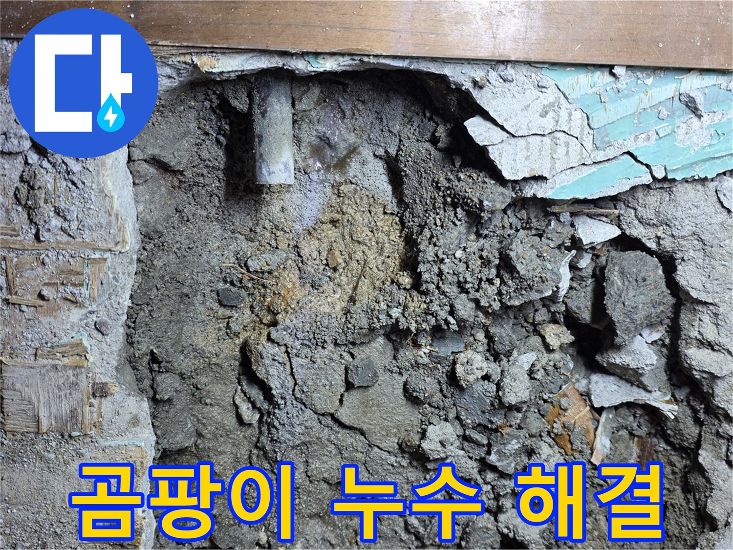 마포구 용강동 현대홈타운 인근 누수 - 곰팡이 문제, 누수 해결이 먼저! - 곰팡이 제거와 함께 누수 문제도 해결합니다.