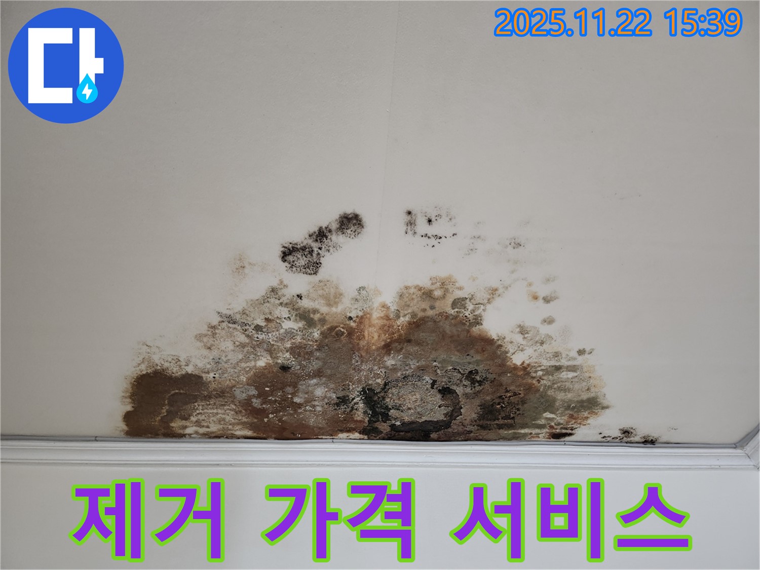 새창로 현대홈타운 아파트 - 곰팡이 천장, 곰팡이 제거, 합리적인 가격, 최고의 서비스
