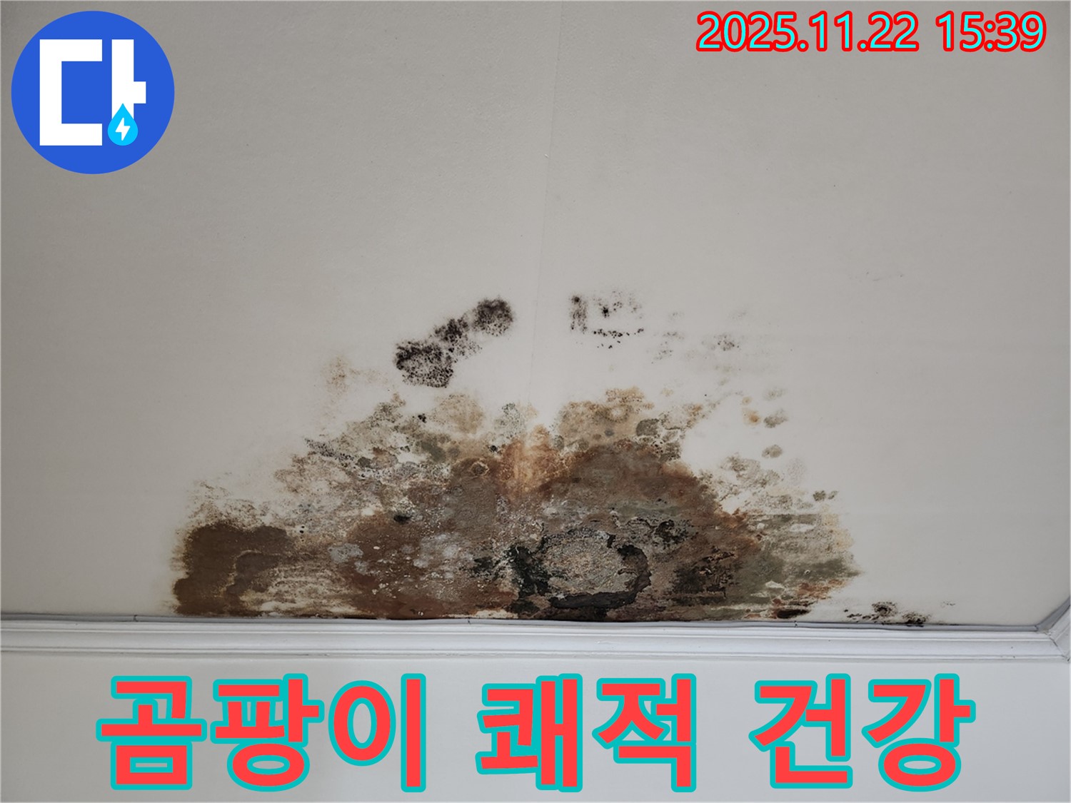새창로 현대홈타운 아파트 - 곰팡이 천장, 쾌적한 환경에서 건강한 생활을