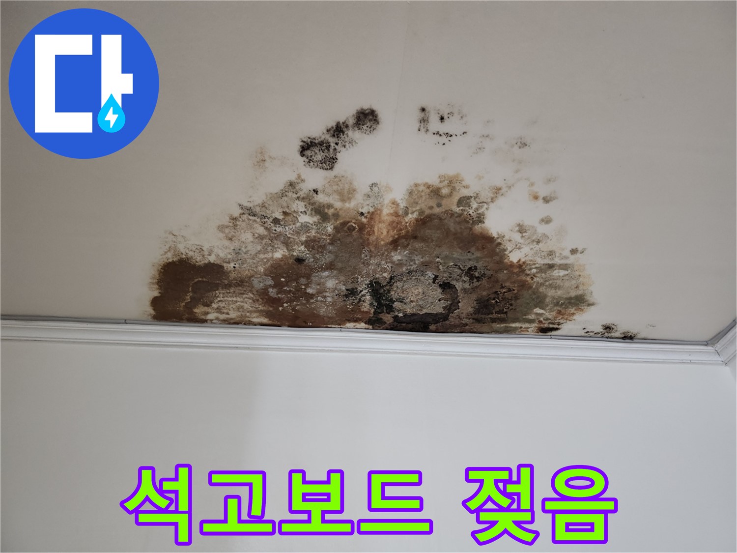 용강동 누수 - 곰팡이로 젖은 석고보드