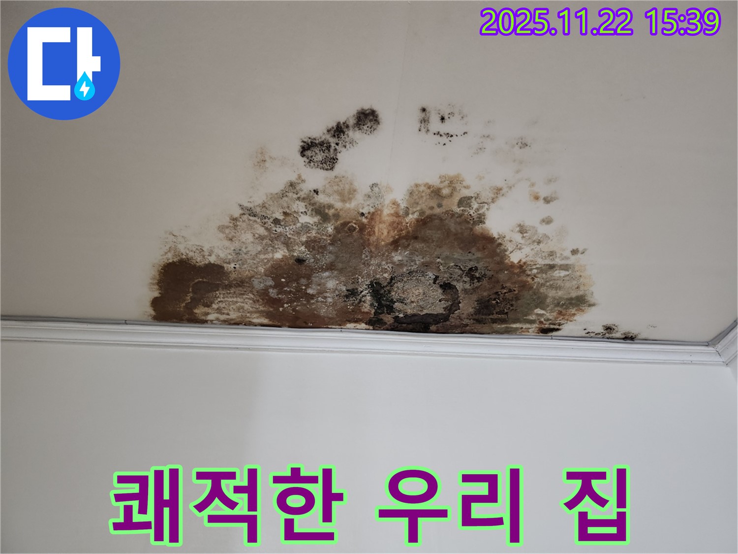 용강동 새창로8길 누수 - 곰팡이 박멸, 현대홈타운 쾌적한 우리 집