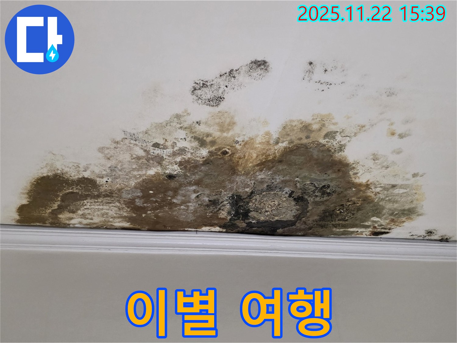용강동 아파트 누수 - 곰팡이와의 이별 여행, 쾌적한 공간에서 행복 시작!