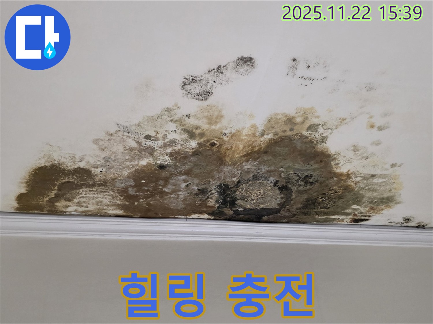 용강동 아파트 누수 - 곰팡이와의 전쟁 완전 종료, 쾌적한 공간에서 힐링 풀파워 충전 완료!