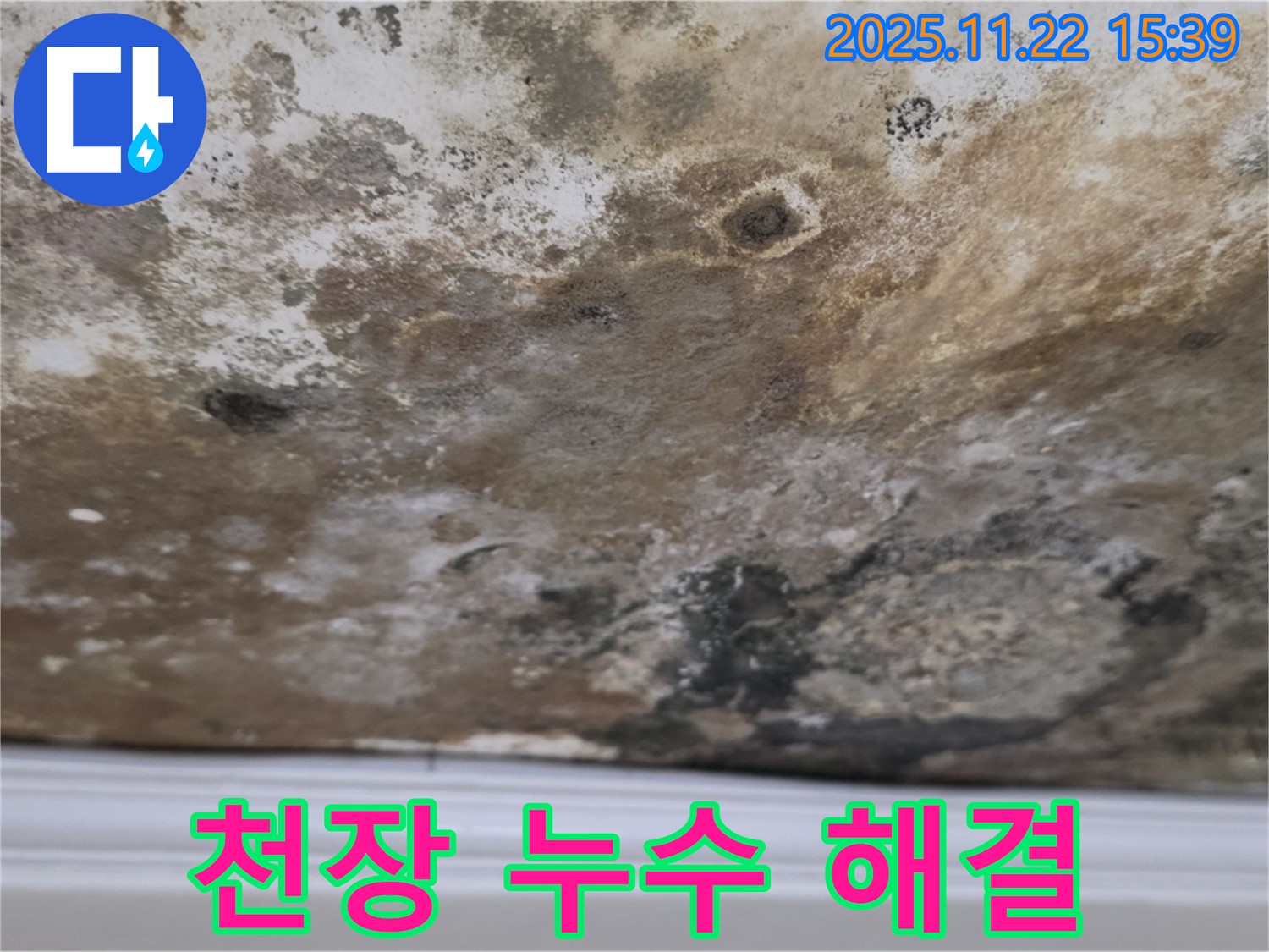 용강동 천장 누수 해결 사례 - 누수 탐지부터 완벽한 공사까지