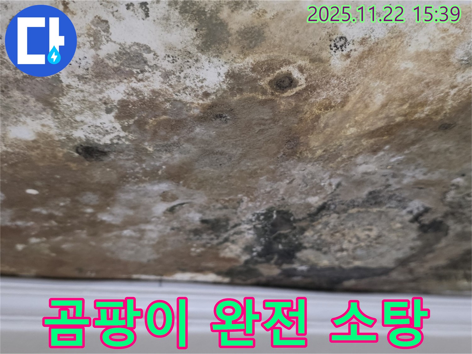 용강동 현대홈타운 - 곰팡이 완전 소탕, 뽀송한 천장으로 체인지!