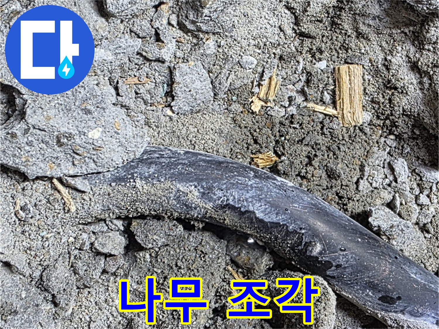 용강동 현대홈타운 - 나무 조각 - 습기 머금고 부패 중 의심
