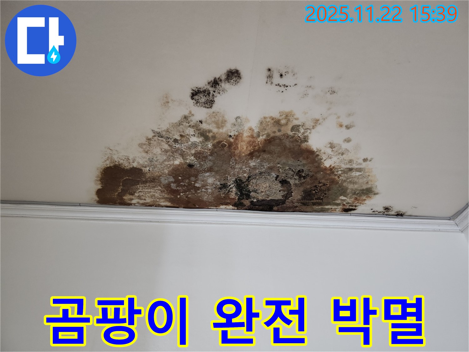 용강동 현대홈타운 새창로8길 누수 - 곰팡이 완전 박멸, 고객 만족
