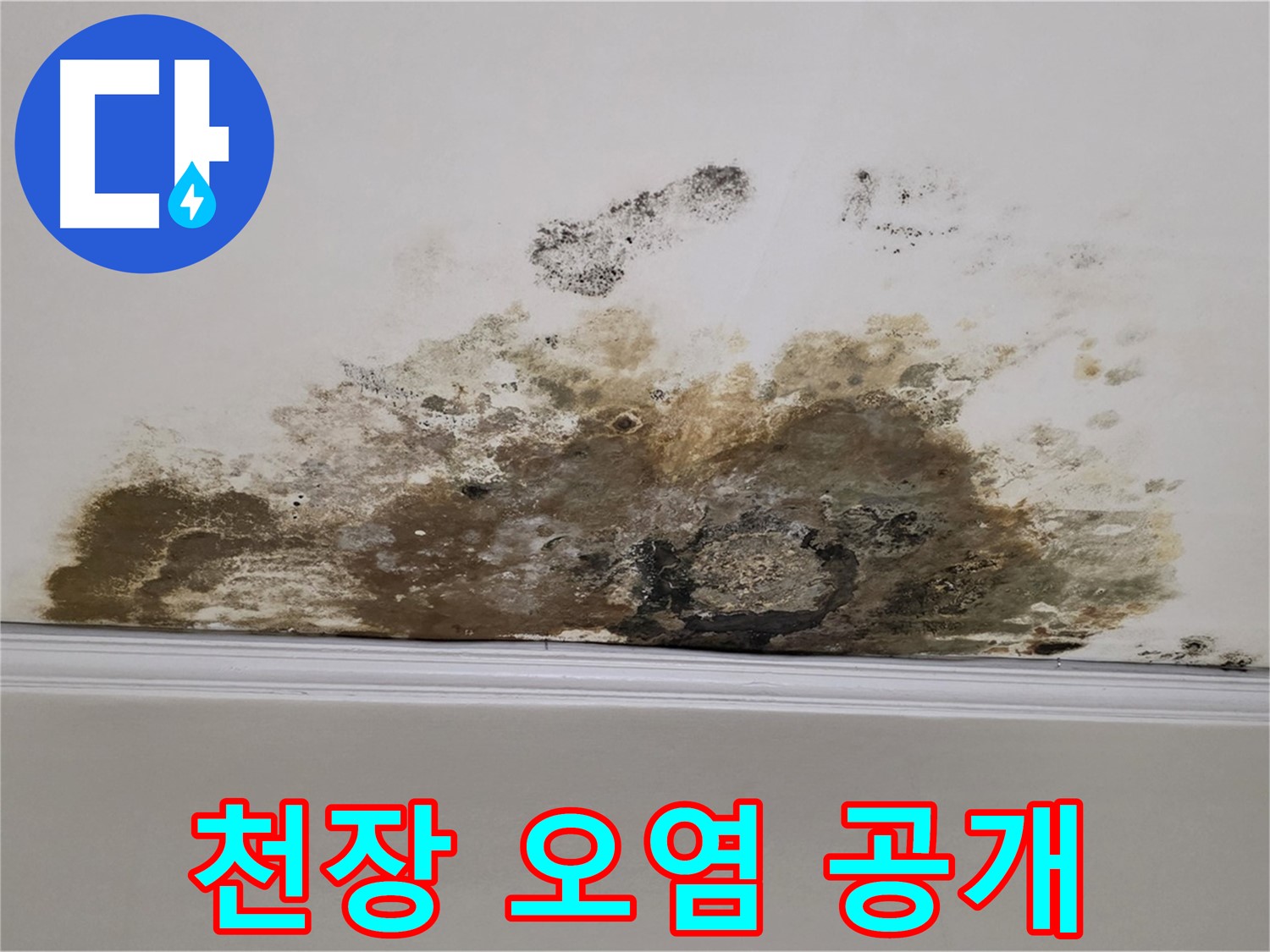 용강동 현대홈타운 아파트 누수 - 곰팡이 제거 전 천장 오염 실태 낱낱이 공개