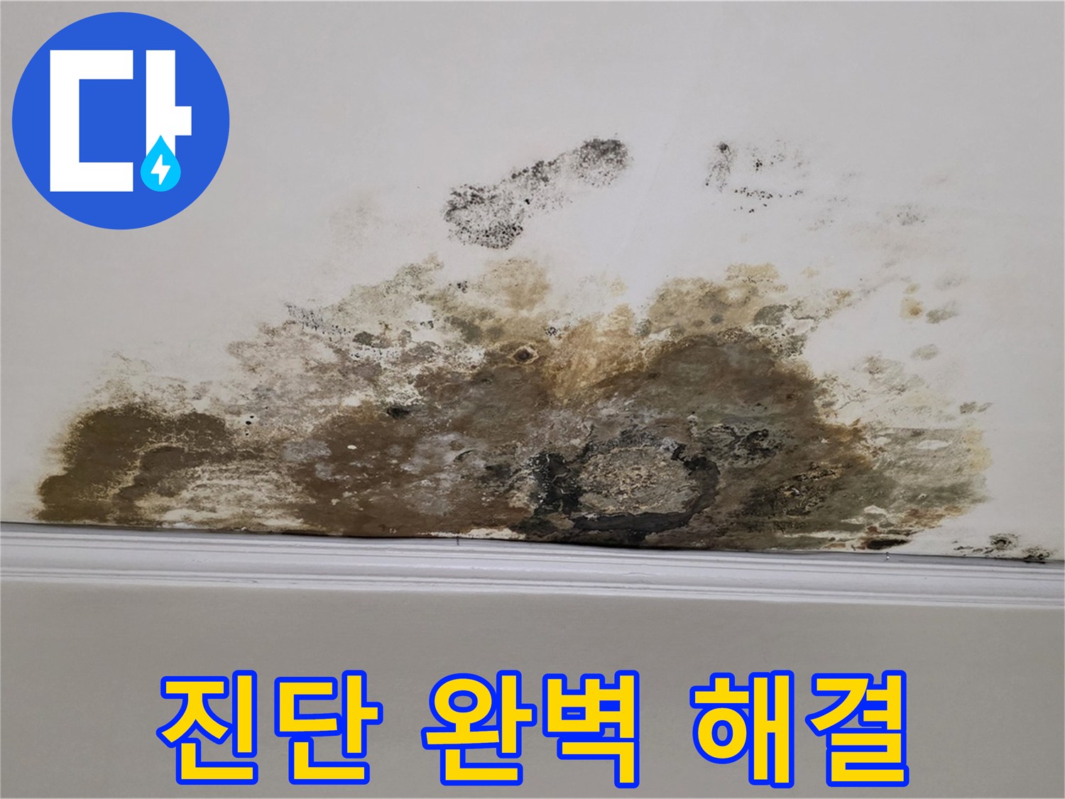 용강동 현대홈타운 아파트 누수 - 곰팡이로 인한 천장 누수 - 정확한 진단, 완벽한 해결