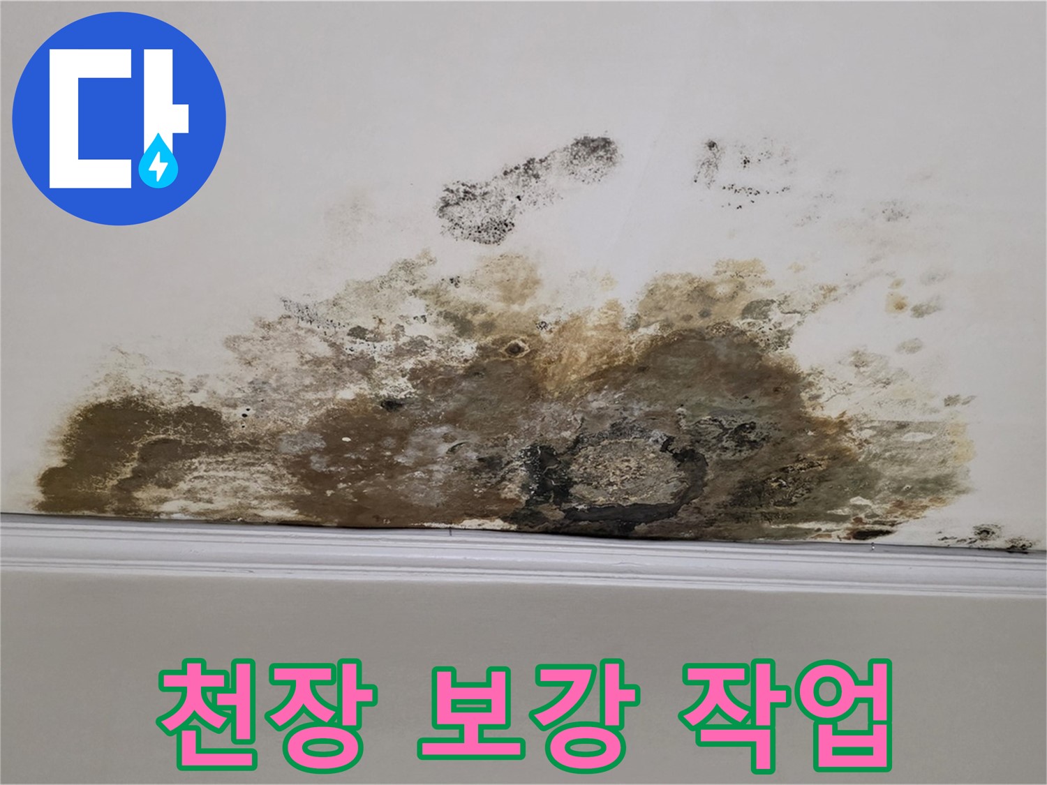 용강동 현대홈타운 아파트 누수 - 곰팡이로 인한 천장 처짐 - 천장 보강 작업 진행