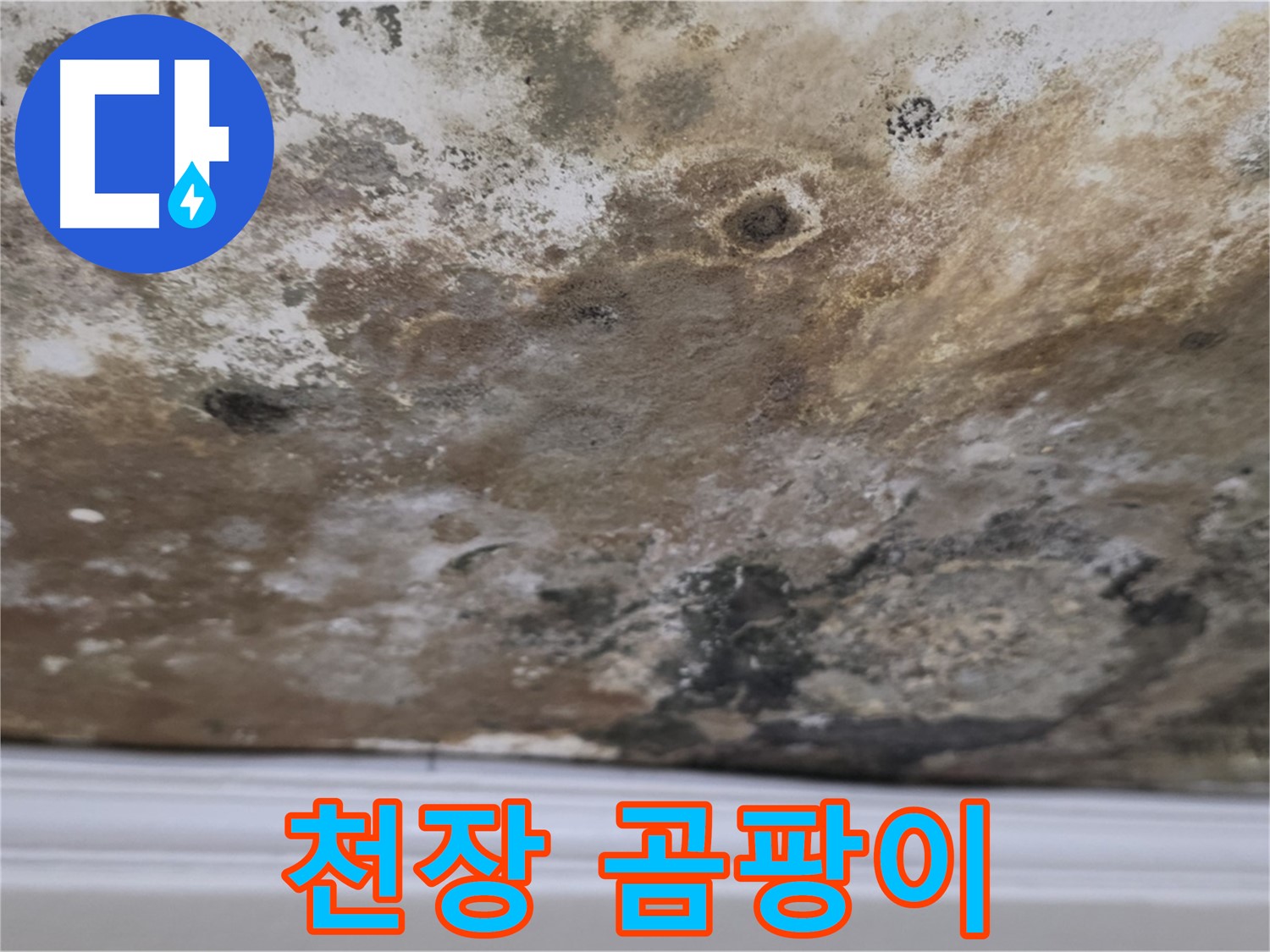 천장 곰팡이 - 누수로 인해 발생한 곰팡이의 심각성을 보여주는 이미지입니다.
