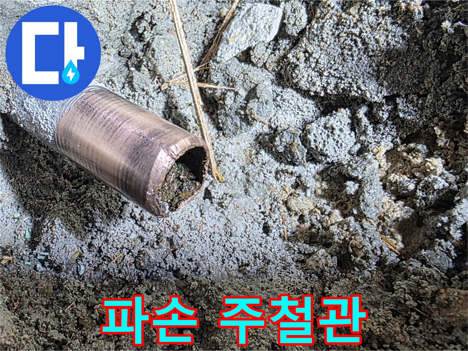 마포구 용강동 새창로8길 주택 누수 진단 - 첨단 장비와 경험을 바탕으로 정확한 누수 원인을 분석합니다.