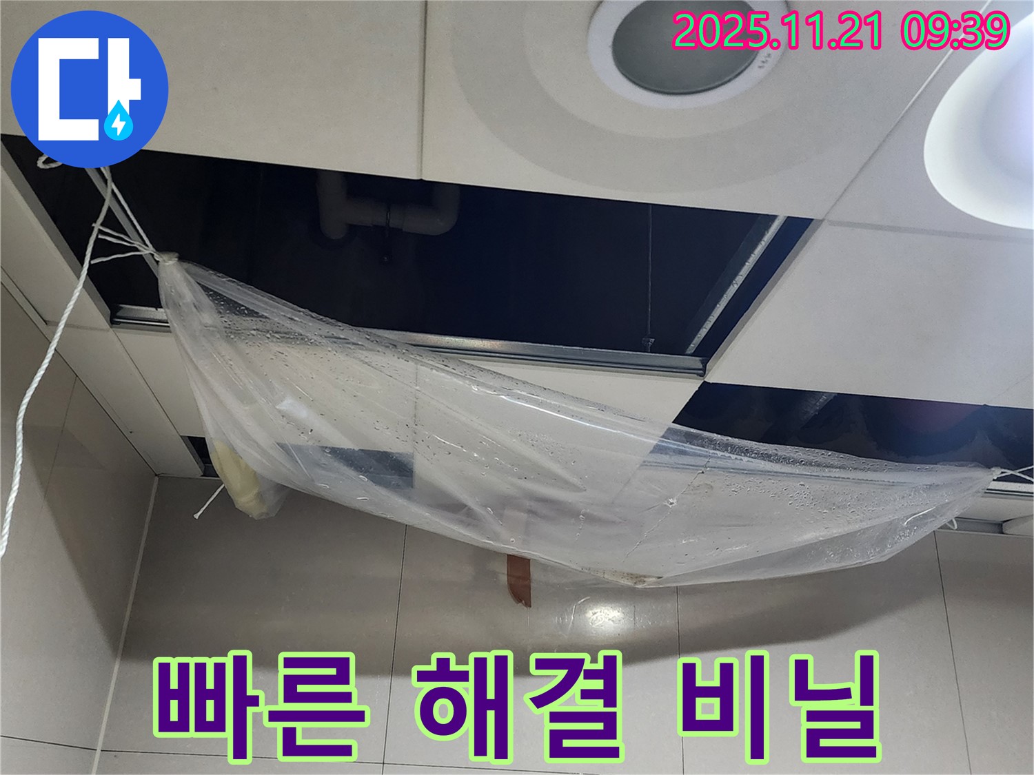 신속한 누수 해결을 위해 - 비닐 덮개를 설치하고 천장 내부를 확인하고 있습니다.