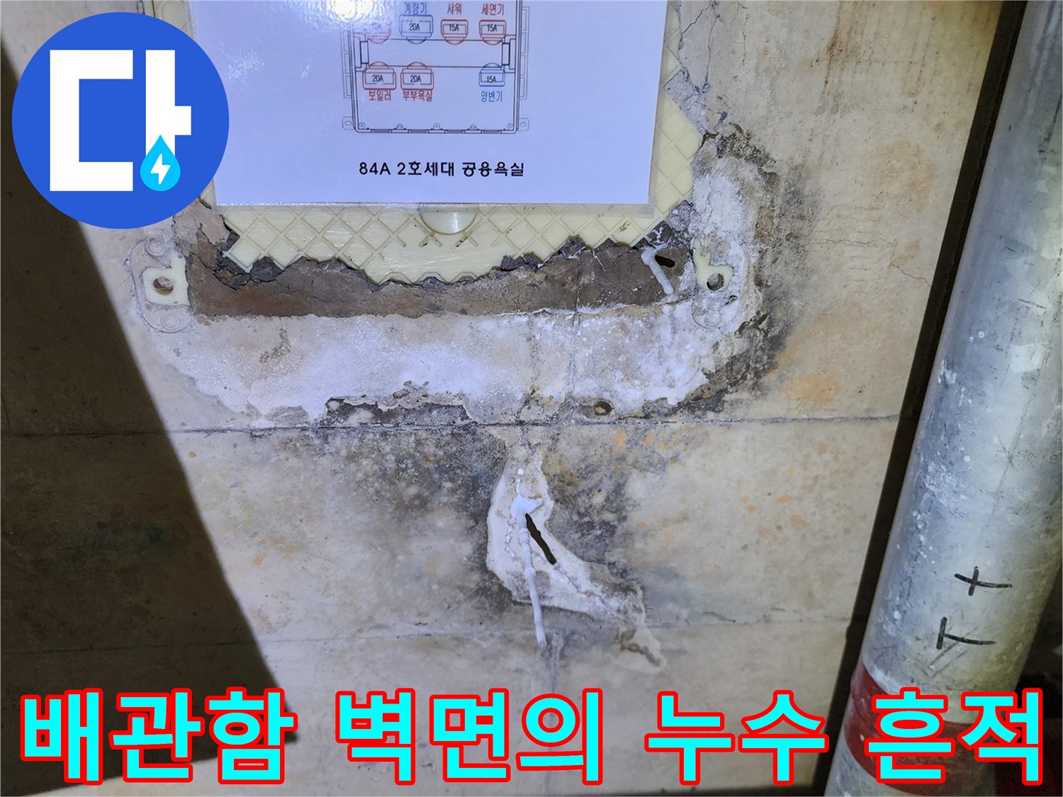 배관함 내부 벽면에 발생한 젖은 얼룩과 균열 부위