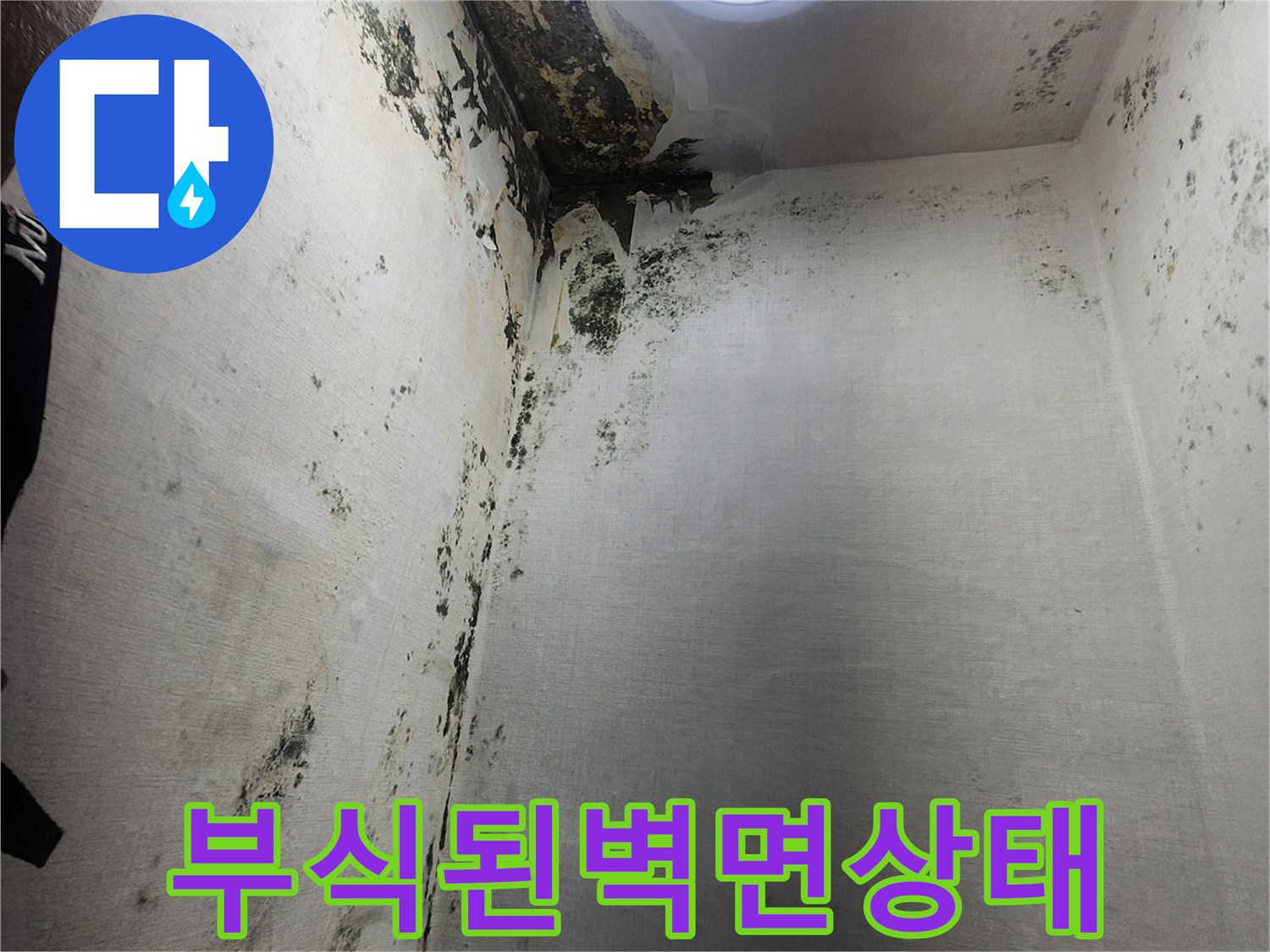 습기로 인해 페인트가 벗겨지고 곰팡이가 증식한 벽체