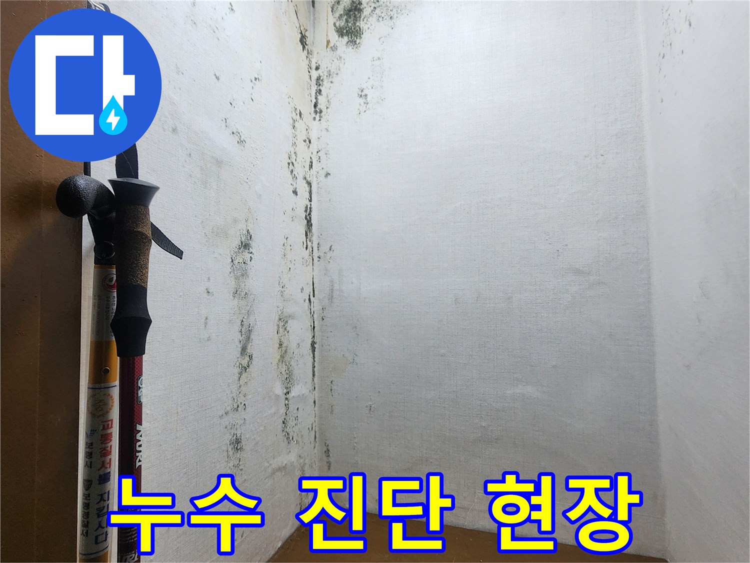 압력계가 놓인 작업 환경-곰팡이가 심한 다용도실 내부 벽면