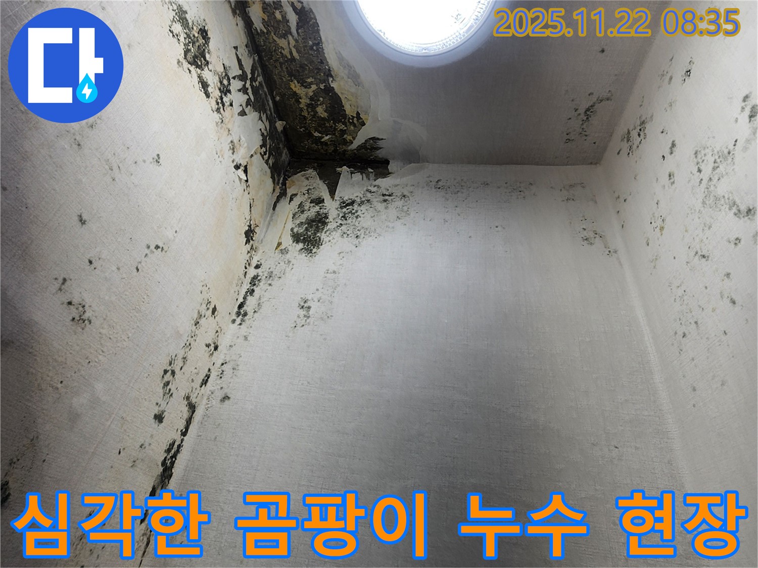 의정부 신곡동 누수 현장 - 심각한 곰팡이 발생으로 누수 탐지 및 공사 필요