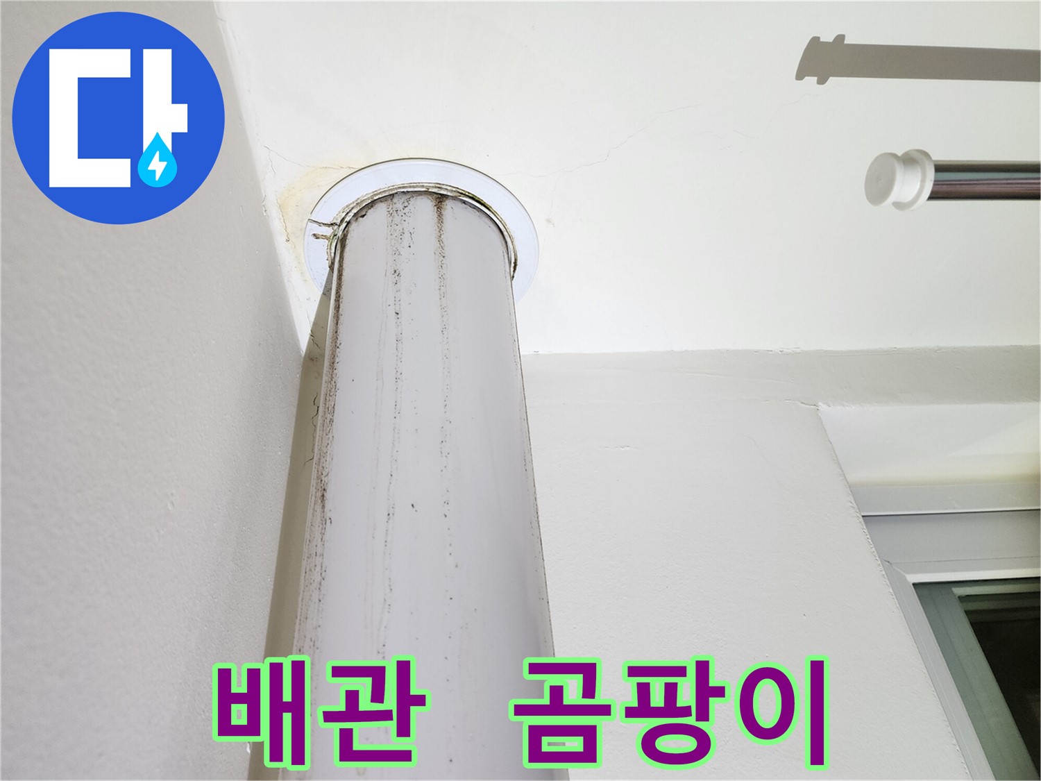 배관 주변 곰팡이 - 누수로 인한 곰팡이 발생 가능성이 높습니다.