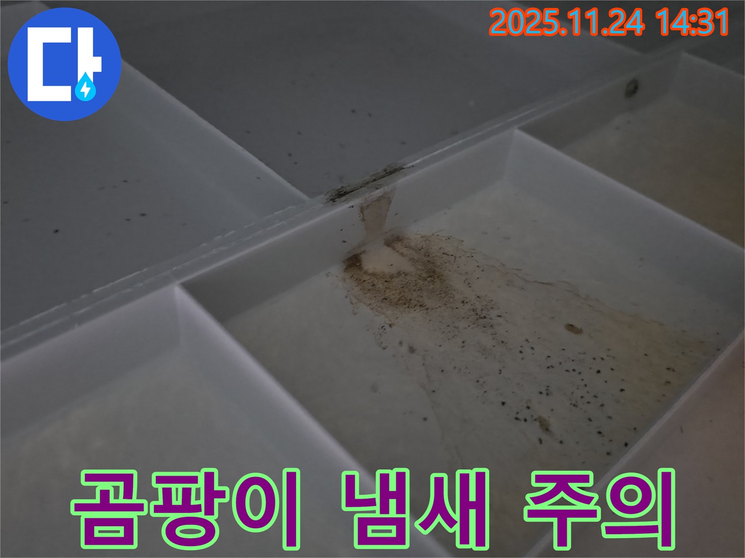 묵동 신안3차아파트 누수 - 욕실 천장 누수 시 곰팡이 냄새 발생에 주의해야 합니다.