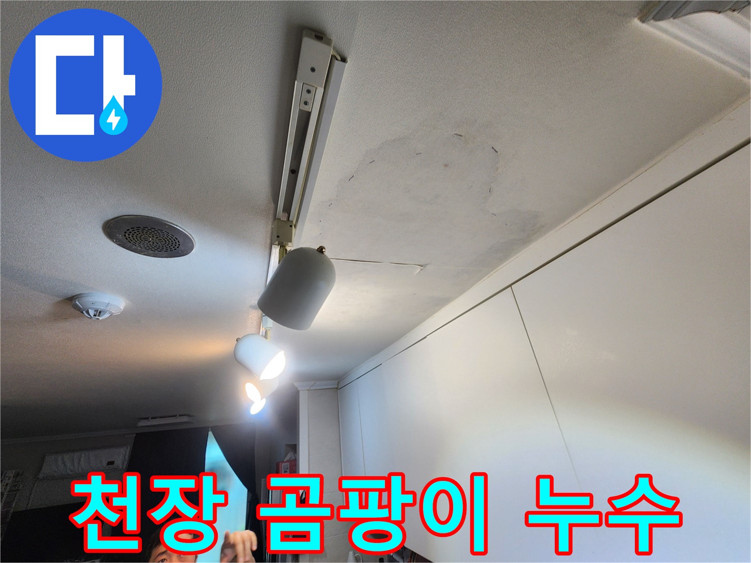 노원구 공릉동 아파트 천장 누수 - 곰팡이 발생 - 긴급 누수 해결