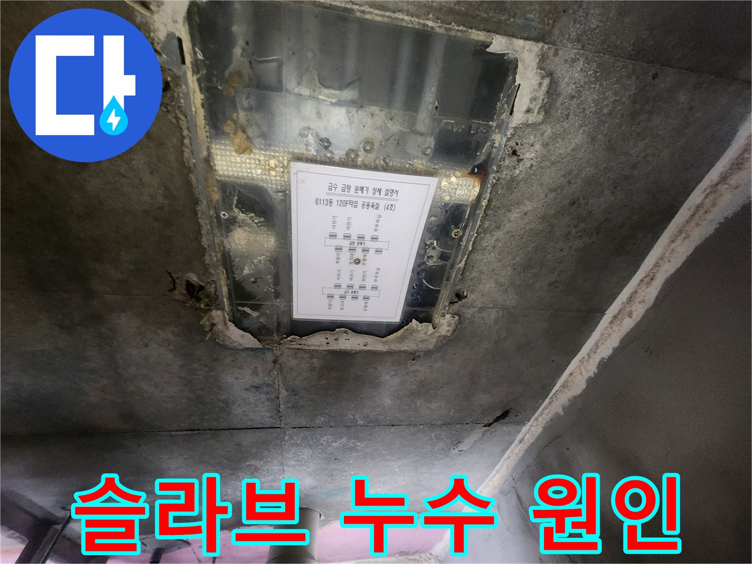 이의동 아파트 슬라브 누수 - 누수 원인 파악과 맞춤형 해결책 제시