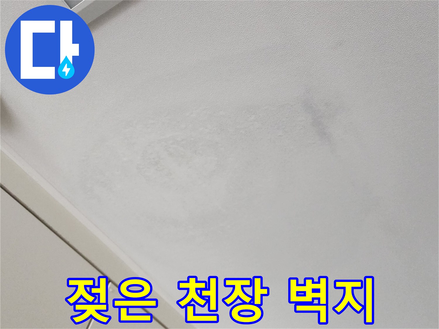 가산면 누수 현장-물기에 의해 눅눅해진 천장 마감재 상태