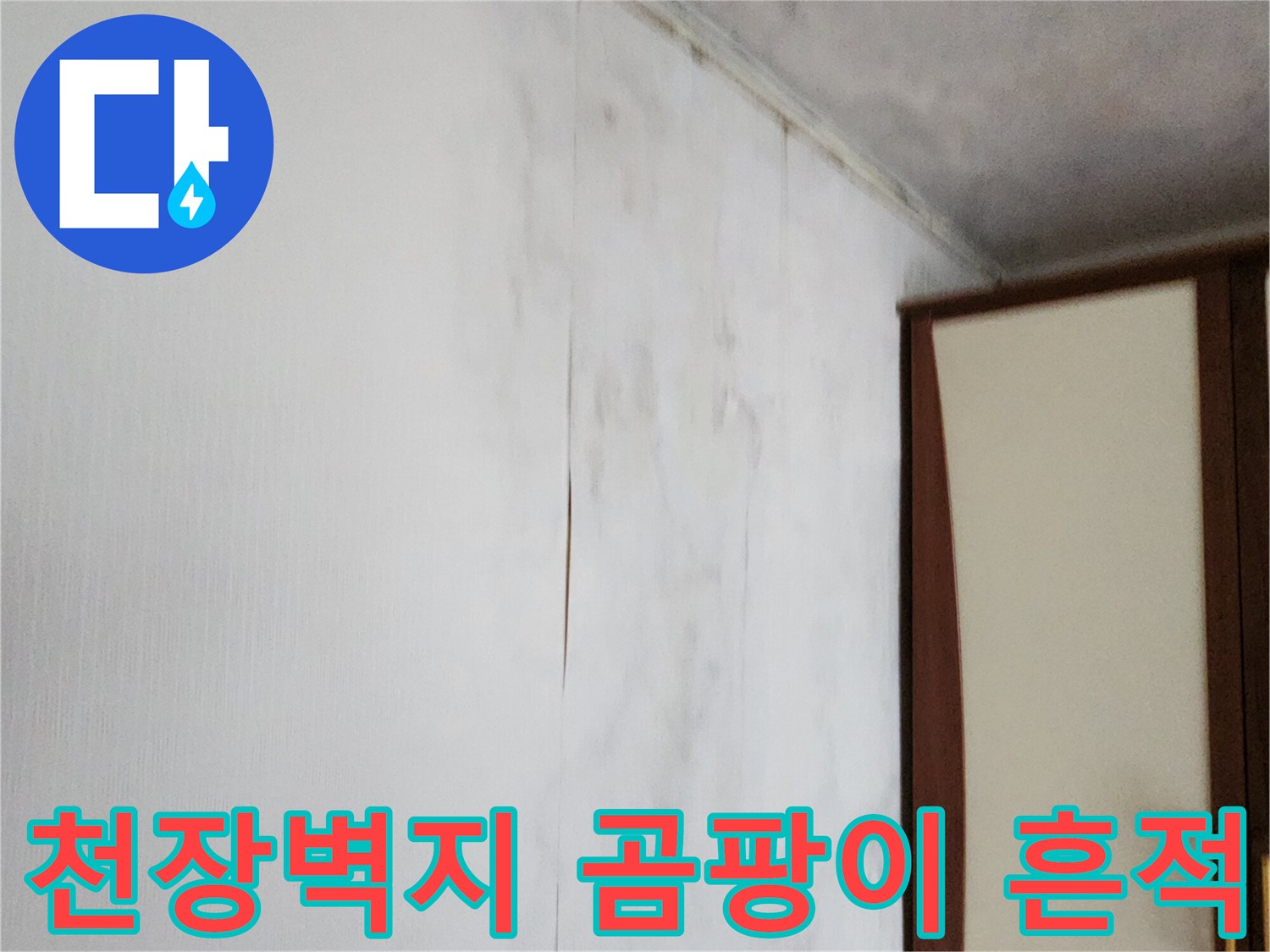 포천 가산면 현장의 천장 벽지 곰팡이와 습기 변색 상태입니다.