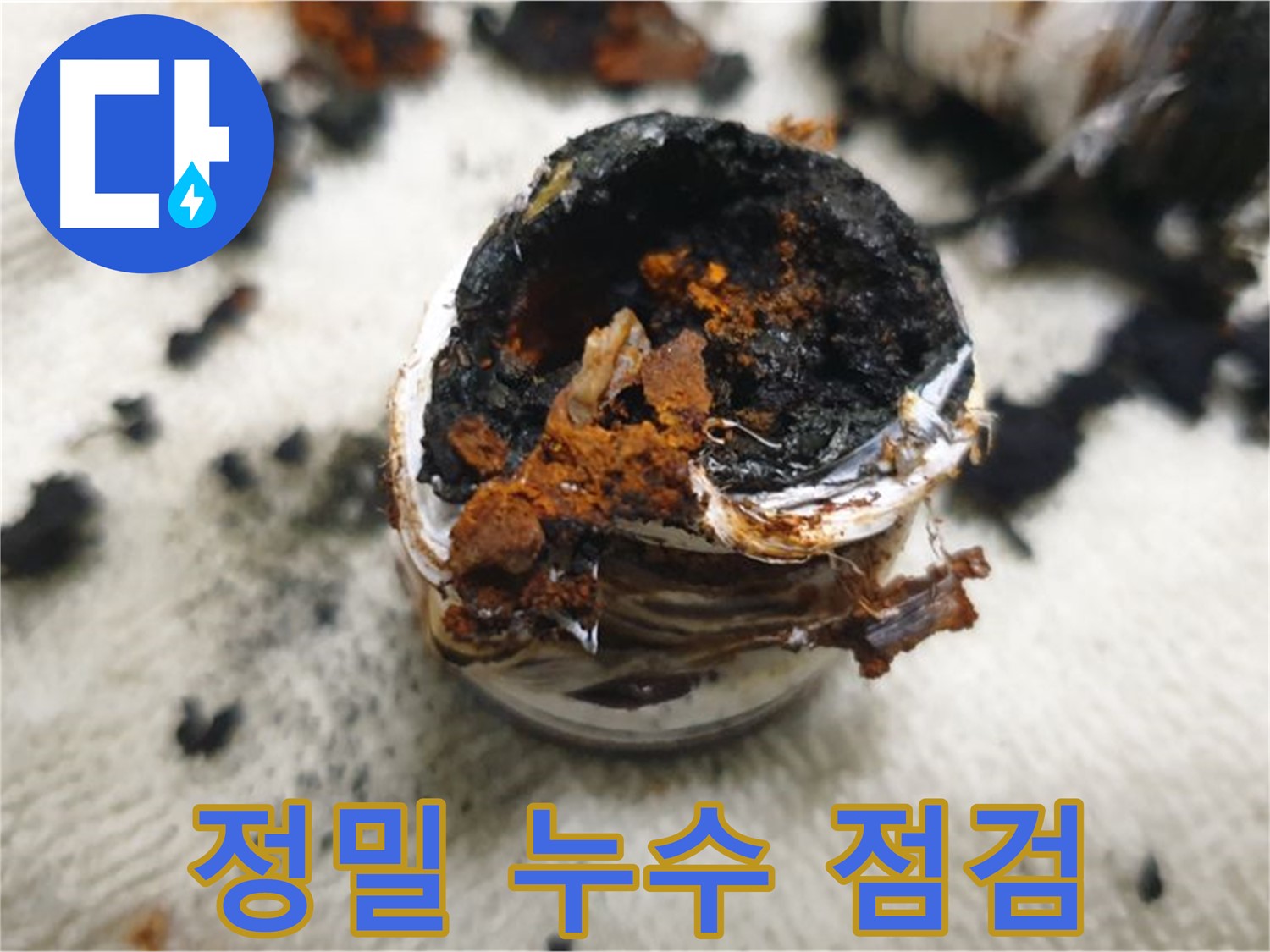 정밀 누수 점검 과정 - 첨단 장비를 사용하여 정확하게 누수 지점을 찾아냅니다.