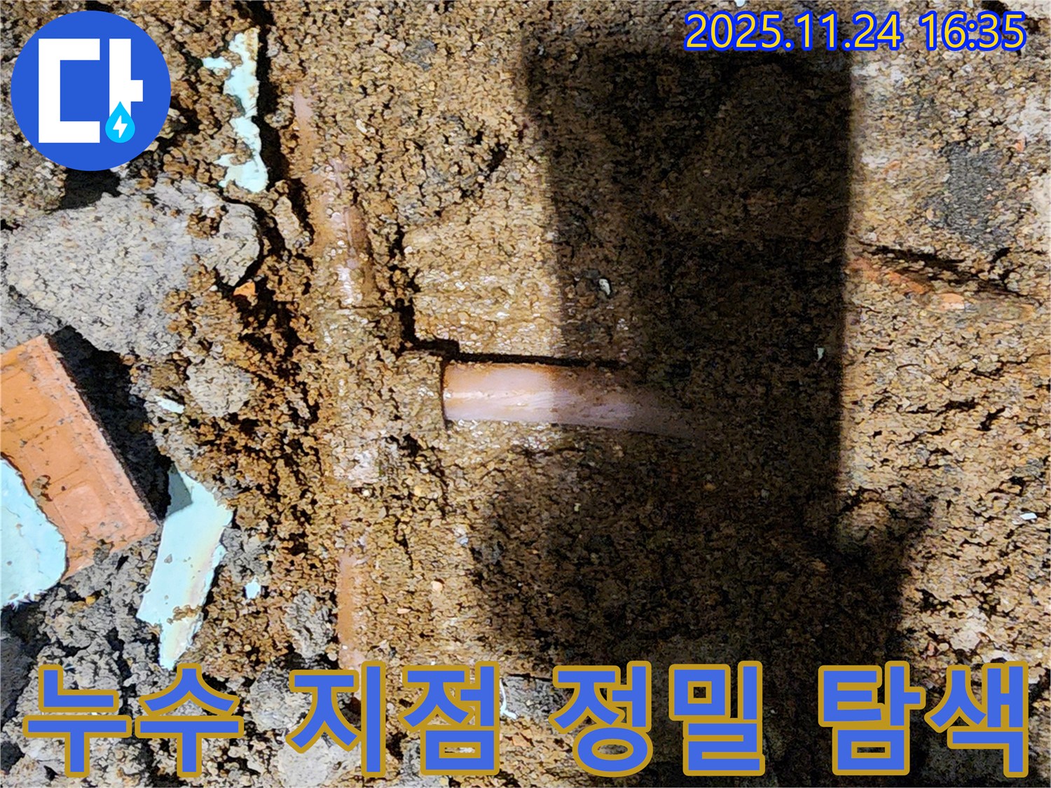 포천시 신북면 가채리 누수 현장 - 누수 지점을 찾기 위해 주변을 꼼꼼하게 탐색하는 전문가의 모습입니다.