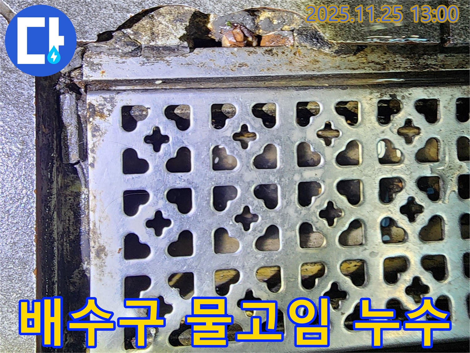 배수구 주변 물고임 - 포천 신북 누수, 초기 발견의 중요성